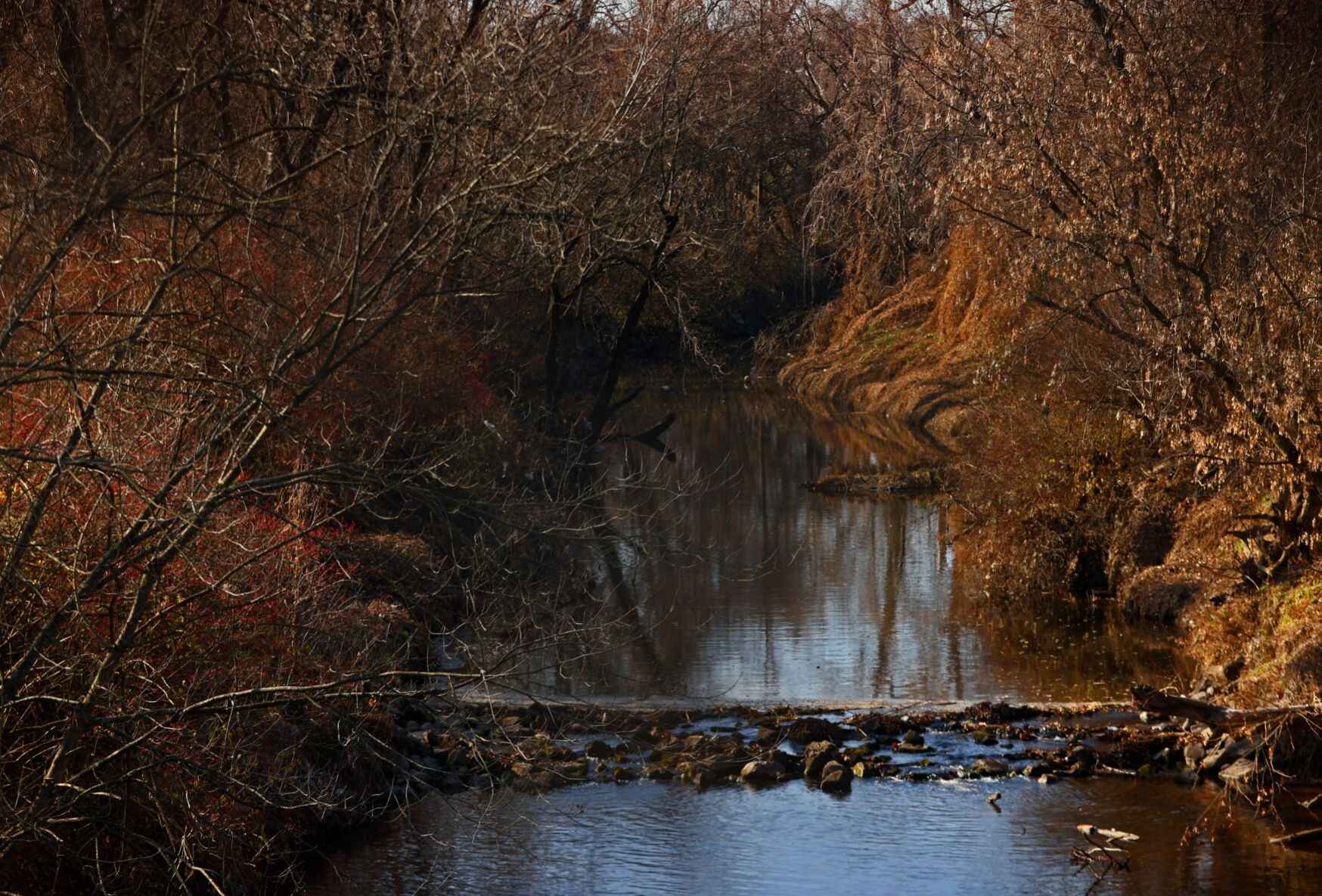 Questions still linger as Coldwater Creek remediation continues